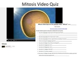 Mitosis Quiz