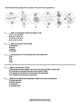 mitosis flip book questions answers