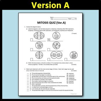 Mitosis Quiz - Two Versions | Editable