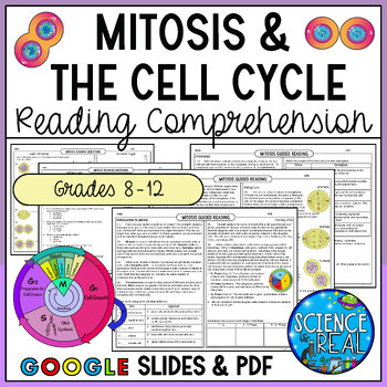 Preview of Mitosis Reading Comprehension and Questions