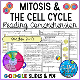 Mitosis Reading Comprehension and Questions - Google Slide