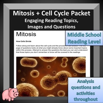 Preview of Mitosis Reading and Review Packet -- 9 page Mitosis Packet