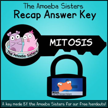 Preview of Mitosis Recap Answer Key by The Amoeba Sisters (Amoeba Sisters Answer Key)