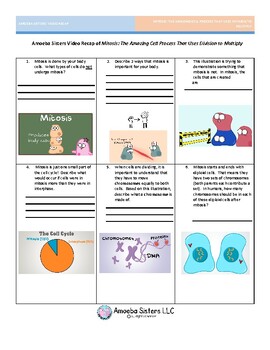 Preview of Mitosis Recap by The Amoeba Sisters- Free Student Handout