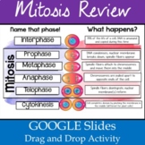 Mitosis Review Drag and Drop Digital Activity for Distance