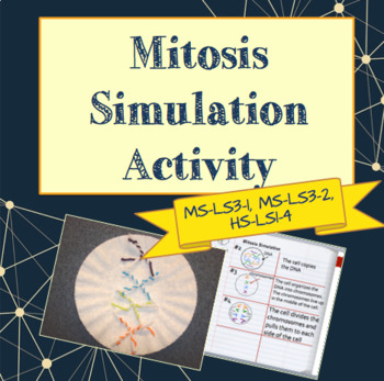 Preview of Mitosis Simulation Activity (NGSS MS-LS3-1, MS-LS3-2, HS-LS1-4)