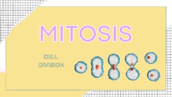 Preview of Mitosis Slides