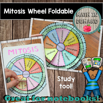 Preview of Mitosis Wheel Foldable