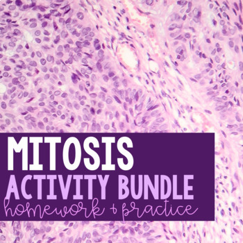 Preview of Mitosis Activity Bundle