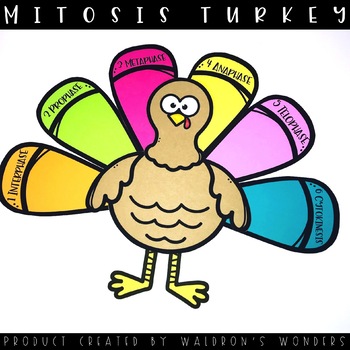 Preview of Mitosis Turkey (Can be used with other topics - Editable)