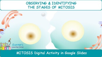 Preview of Mitosis Virtual Lab for Google Classroom (Distance Learning)