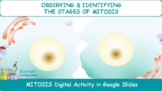 Mitosis Virtual Lab for Google Classroom (Distance Learning)