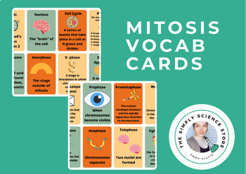 Preview of Genetics Vocab Cards:  Mitosis