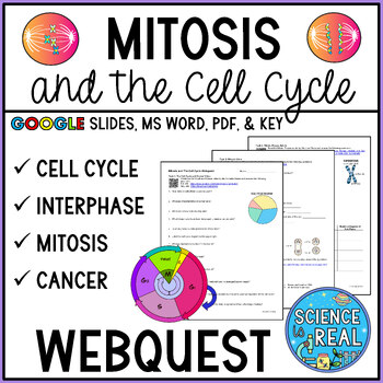 Preview of Mitosis Webquest