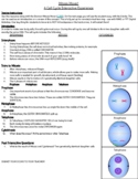 Mitosis Webquest BIOMAN