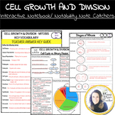 Mitosis Worksheet - Cell Growth and Division