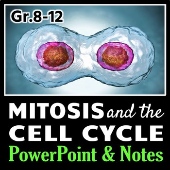 Preview of Mitosis and the Cell Cycle Interactive PowerPoint With Notes {Editable}
