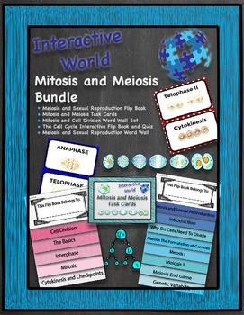 Preview of Mitosis and Meiosis BUNDLE