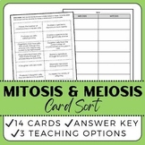 Cell Division Review Card Sort - Mitosis & Meiosis - Middl