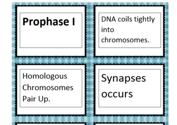 Preview of Mitosis and Meiosis Card Sort Statements