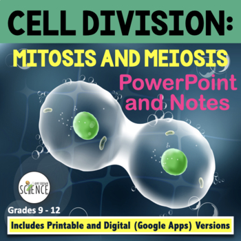 Preview of Mitosis and Meiosis Powerpoint and Notes