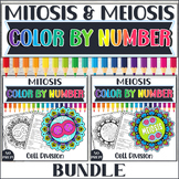 Mitosis and Meiosis Color by Number Bundle|Cell Division B