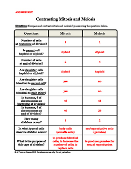 Compare And Contrast Mitosis And Meiosis Worksheet TUTORE ORG