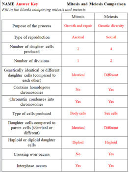 Comparing Mitosis And Meiosis Chart Answer Key