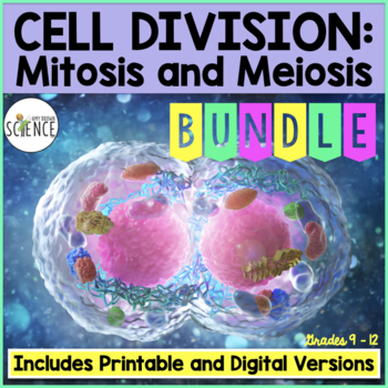 Preview of Mitosis and Meiosis Cell Division Bundle