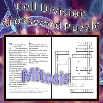 Preview of Mitosis and Meiosis Crossword Puzzle
