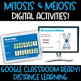 Mitosis and Meiosis Digital Activities for Distance Learning