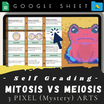 Preview of Mitosis and Meiosis Pixel (mystery) Art- Genetics: cell cycle vocabulary