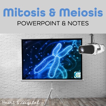 Preview of Mitosis and Meiosis PowerPoint and Notes - PowerPoint and Google Slides