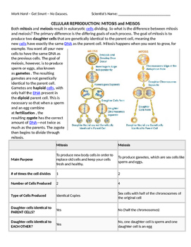 Preview of Mitosis and Meiosis Review Reading Comprehension