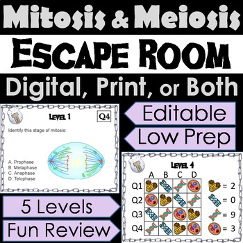 Preview of Mitosis & Meiosis Activity: Biology Digital Escape Room Cell Cycle Cell Division