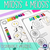 Mitosis and Meiosis Scribble Notes