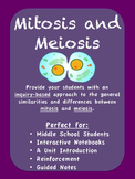 Mitosis and Meiosis: Similarities and Differences Activity