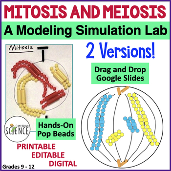 Preview of Mitosis and Meiosis Cell Division Modeling Simulation Lab