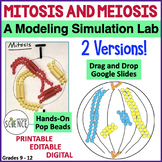 Mitosis and Meiosis Cell Division Modeling Simulation Lab