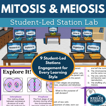 Preview of Mitosis and Meiosis Student-Led Station Lab
