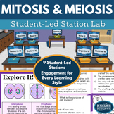Mitosis and Meiosis Student-Led Station Lab