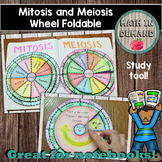 Mitosis and Meiosis Wheel Foldables (Great for Science Int