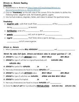 Meiosis Mitosis Worksheets Teaching Resources Tpt