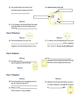 Mitosis and Meiosis Webquest (Outline/Comprehension ...