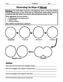 Mitosis And Meiosis Worksheet Answer Key Geotwitter Kids Activities