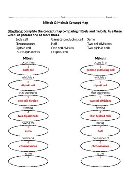 Mitosis And Meiosis Concept Map W Key By K I S S It Biology Tpt