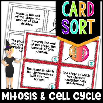 Preview of Mitosis and The Cell Cycle Card Sort | Science Card Sort