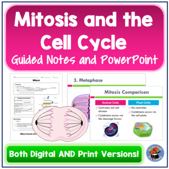 Preview of Mitosis and the Cell Cycle Guided Notes and PowerPoint