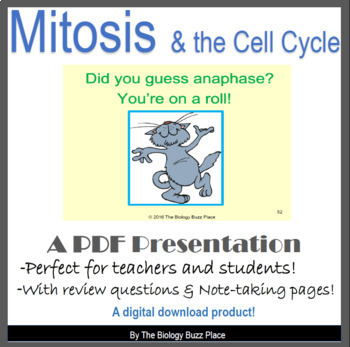 Preview of Mitosis and the Cell Cycle PDF Presentation