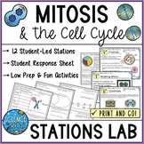 Mitosis and the Cell Cycle Stations Lab - Student Led Mito
